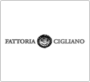 �C�^���A���C�� �t�@�b�g���A�E�`���A�[�m�E�f�B�E�A���e�B�m��